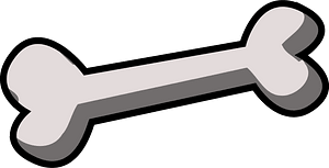 Bones
