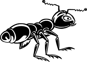 Ant