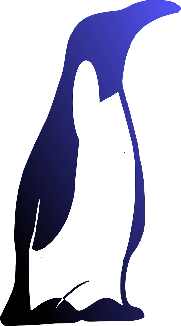 企鹅
