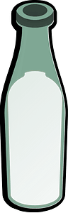 Bottle