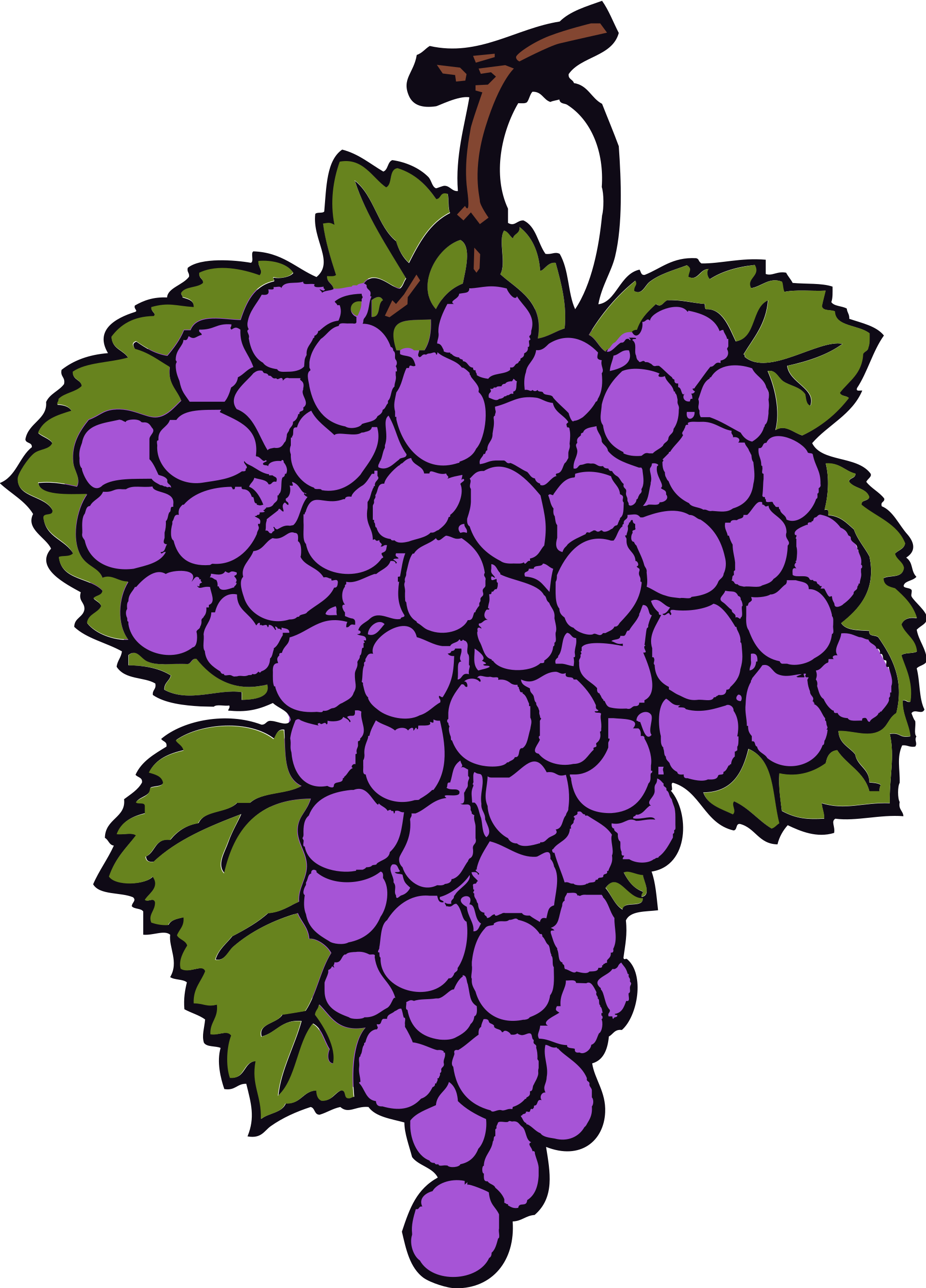 grape-clipart-original.png