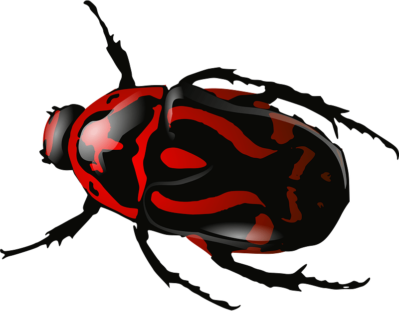 Bug