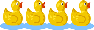 小鸭子