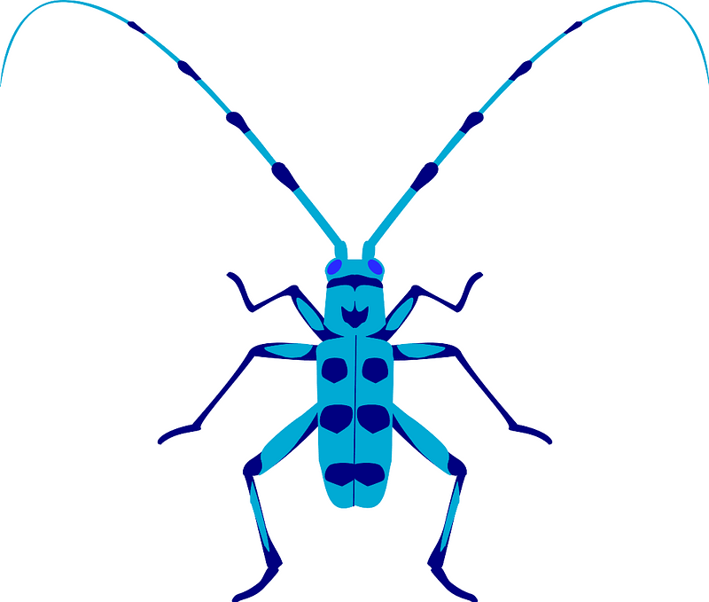 Bug