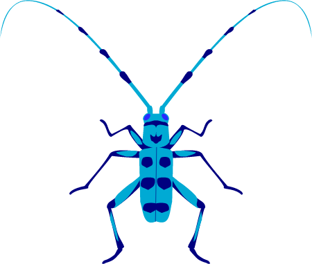 Bug