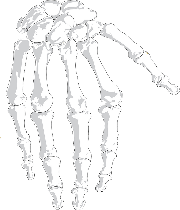 Hand