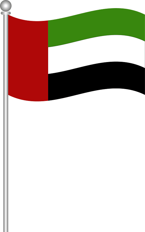 Flag of pakistan