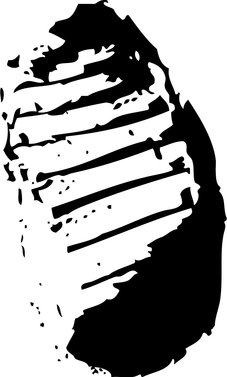 月球