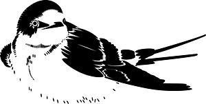 Swallow