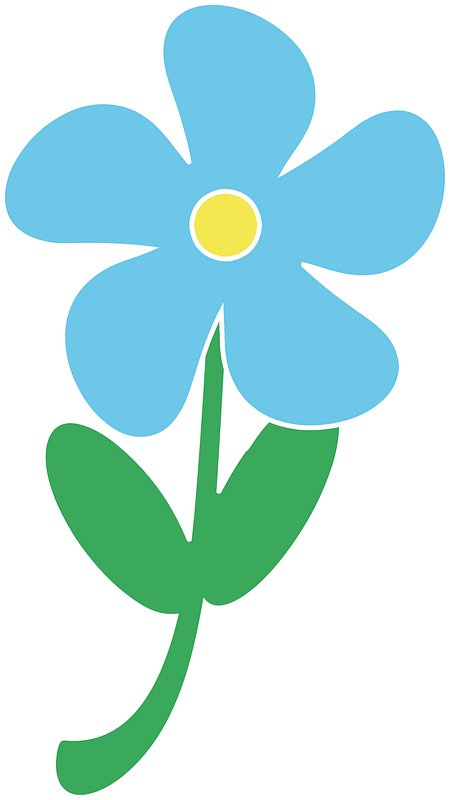 Çiçekler
