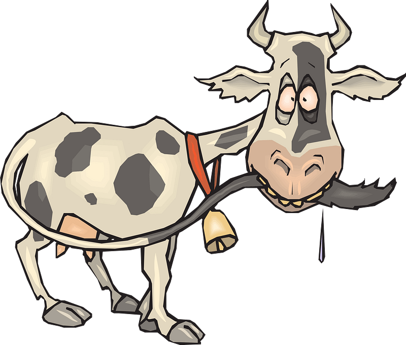 Cow