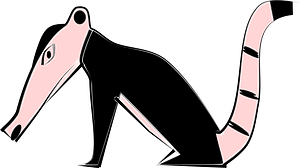 Anteater