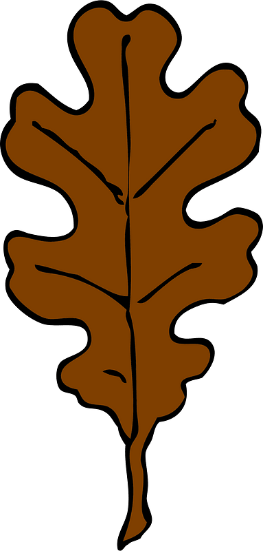 Leaf