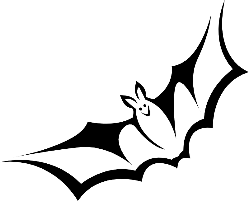 Bat