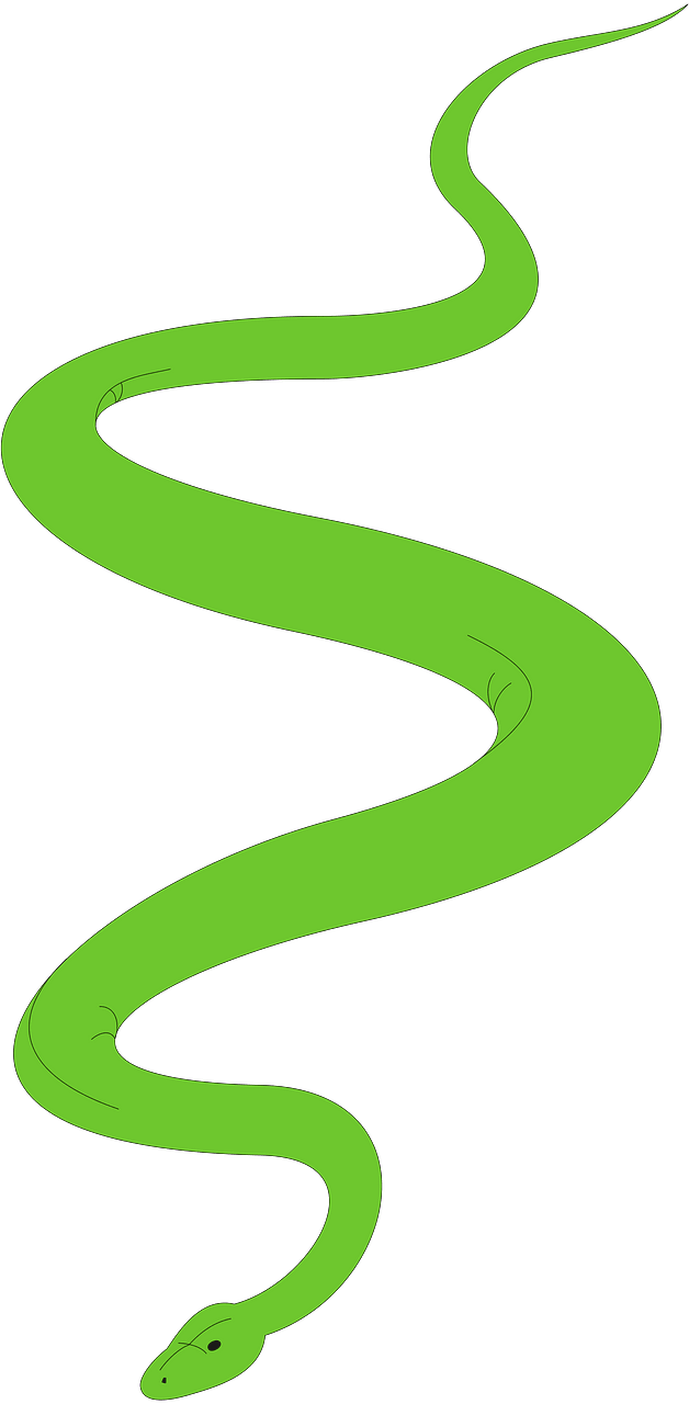蛇