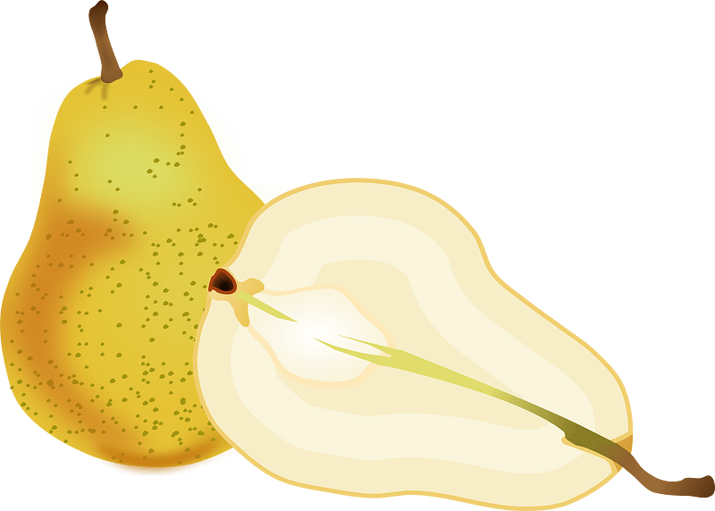 Pear - Free vector clipart images on creazilla.com