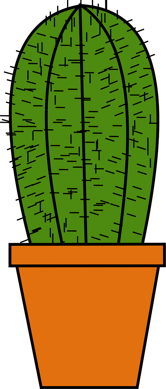 Cactus