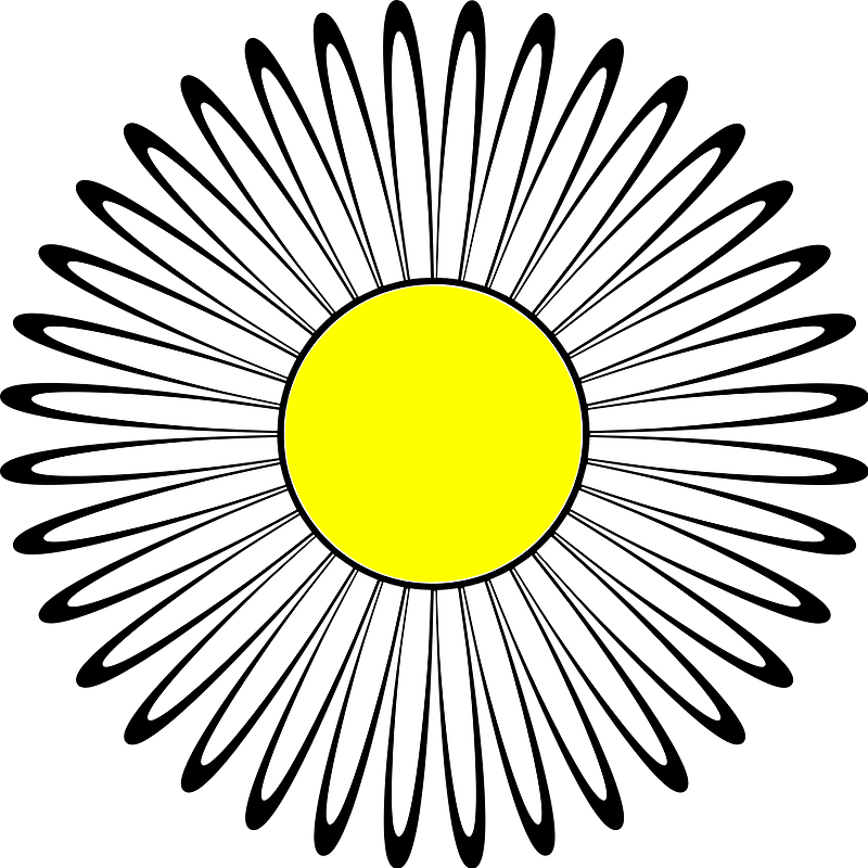 Daisy