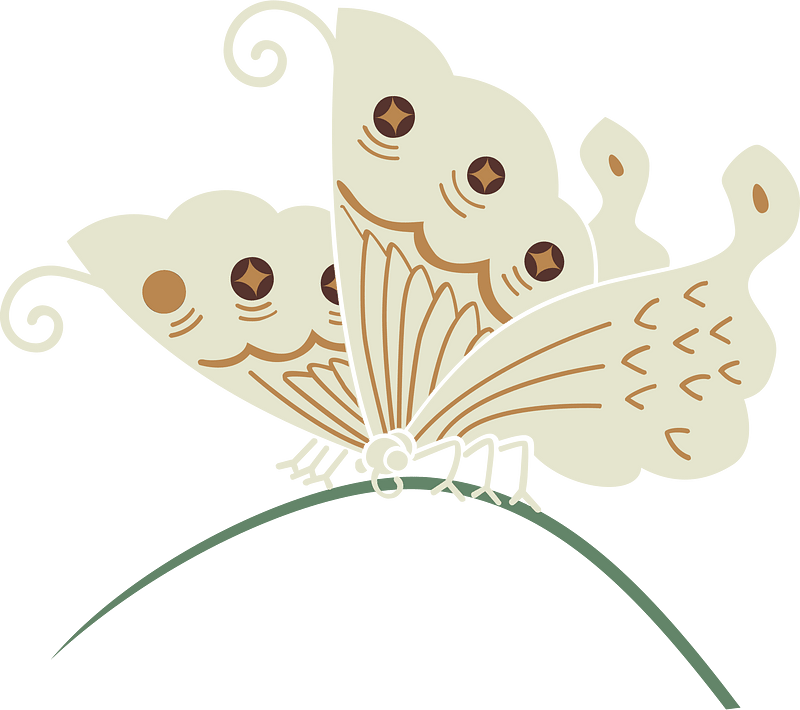 Fly
