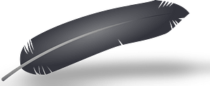 Feather