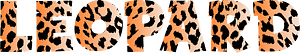 豹子