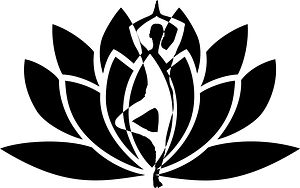 运动