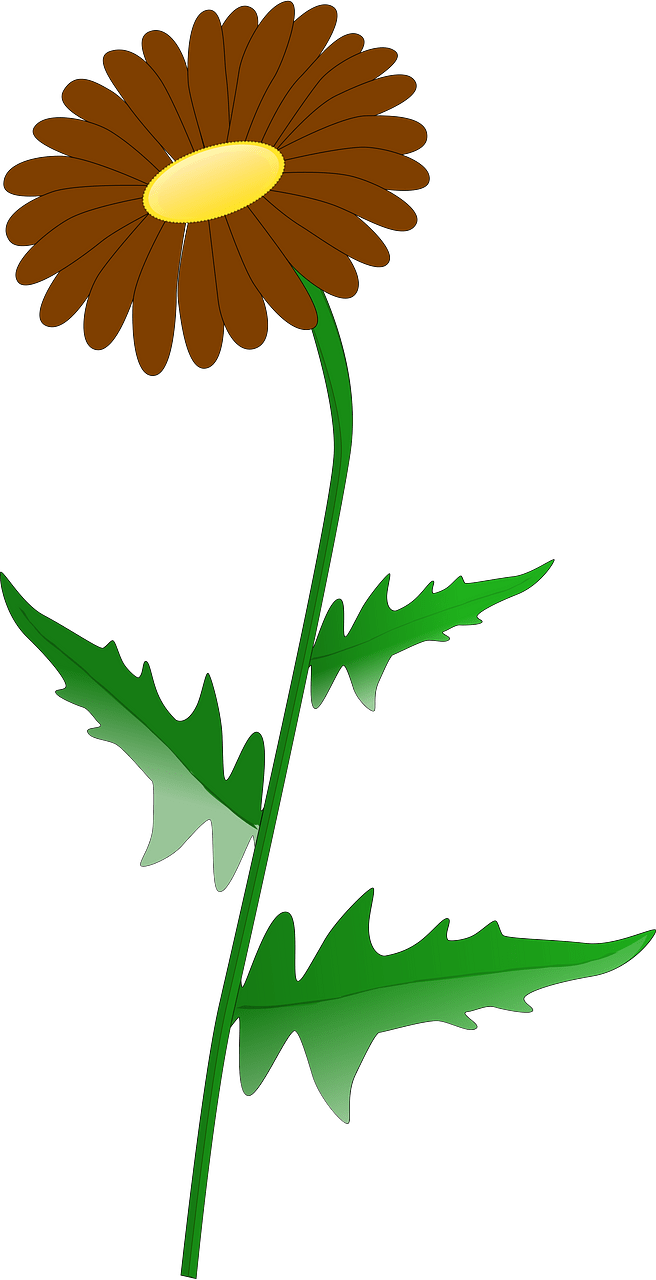 Blomma