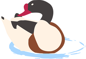Ducks