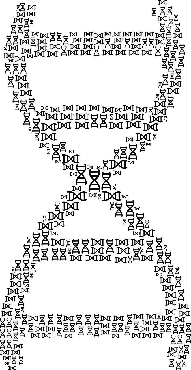 Dna