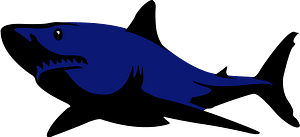 Shark