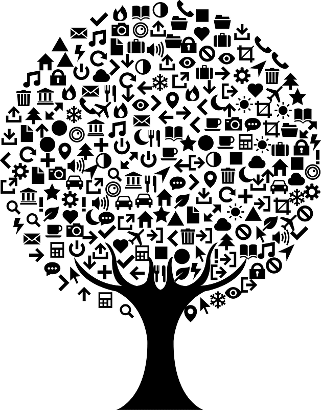 Pohon