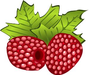 Raspberries and Leaves