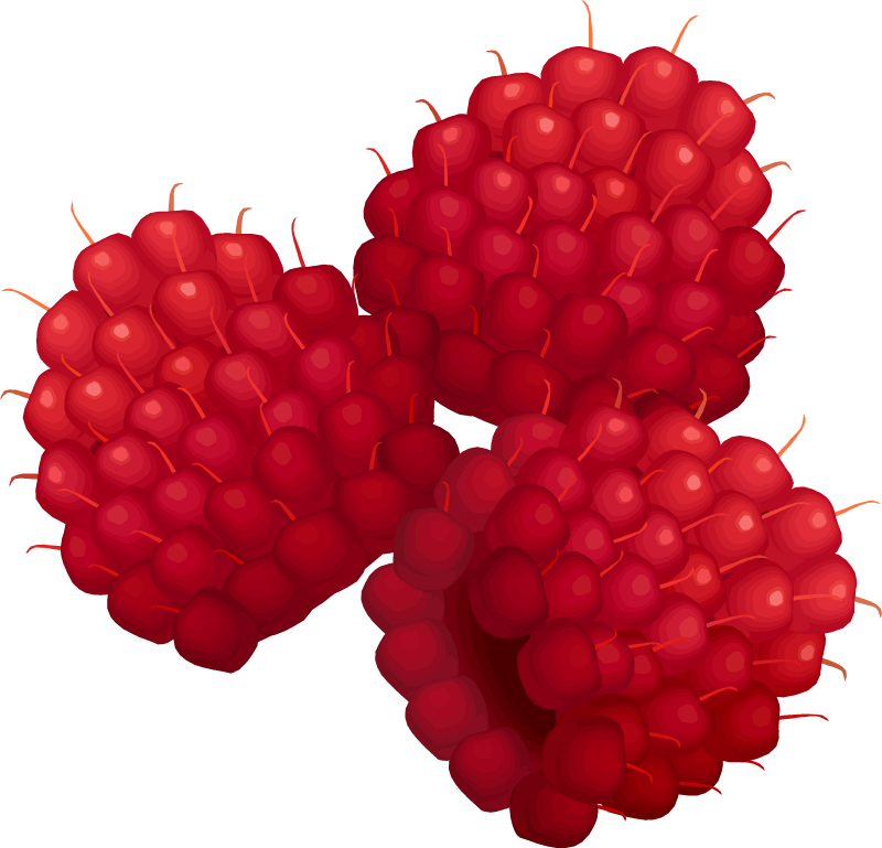 Raspberries