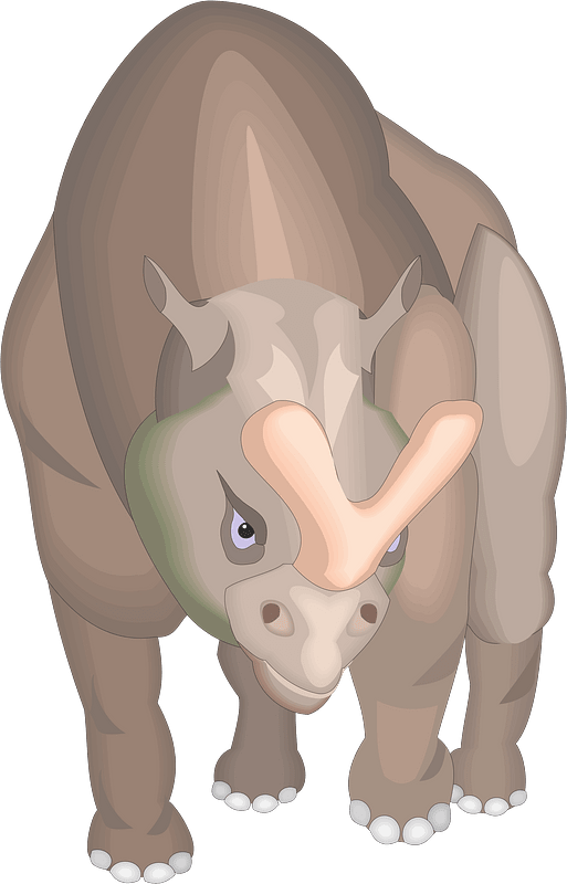 Animal