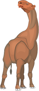 Long