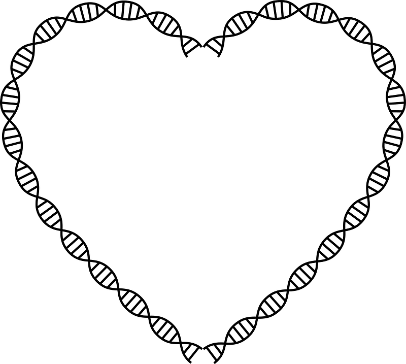 Dna