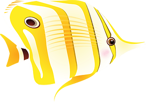 Butterfly Fish