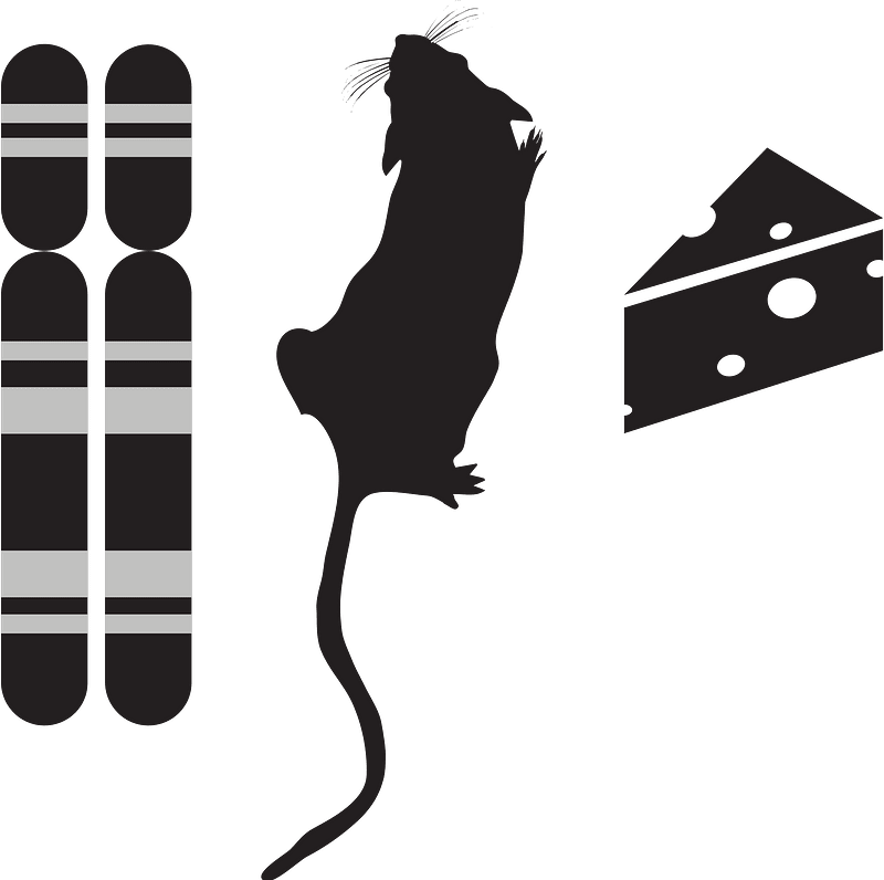 Genotype phenotype environment icon
