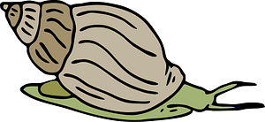Lumaca