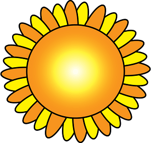 Цветы