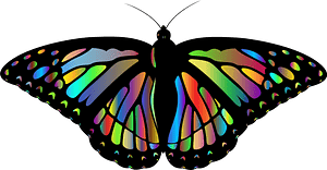 Monarch