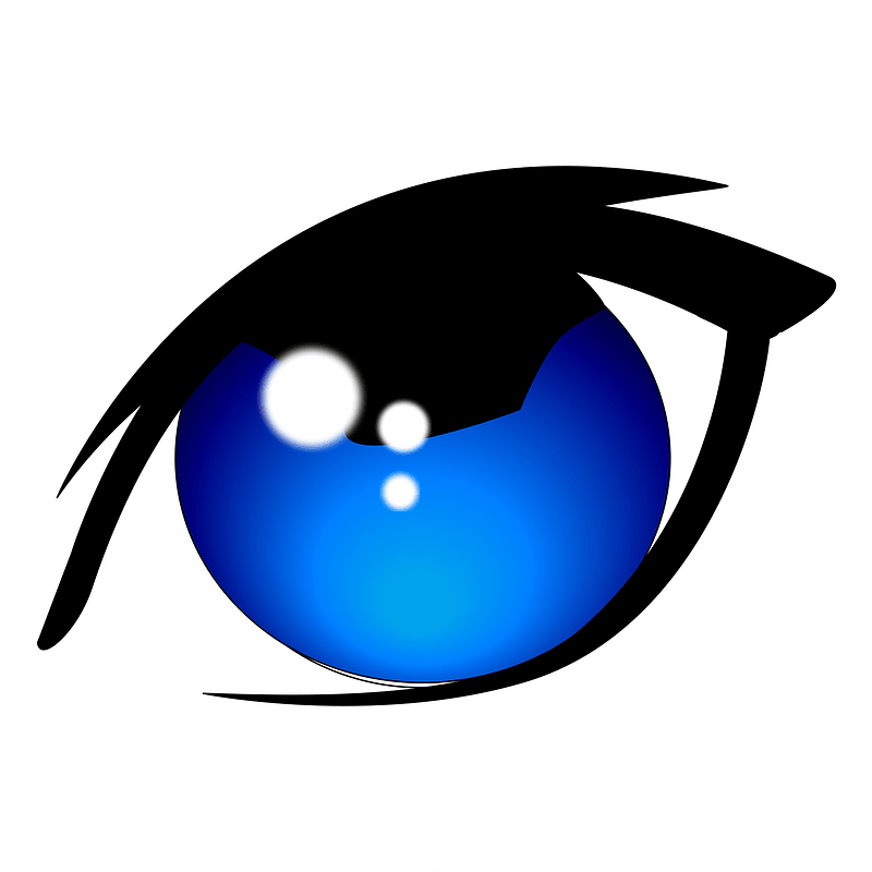 Eye