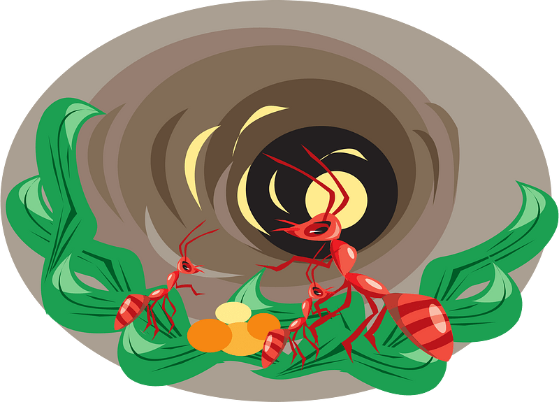 Hole