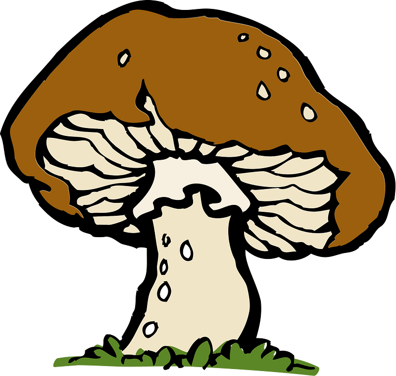 Mushroom