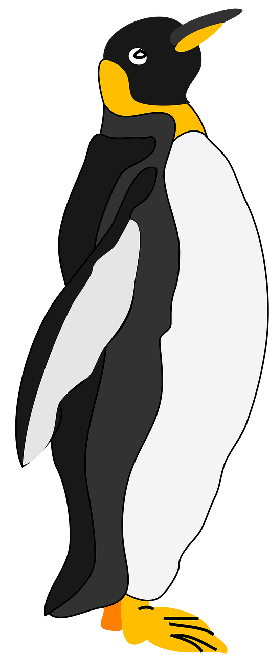 Pinguin
