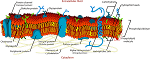 Biology