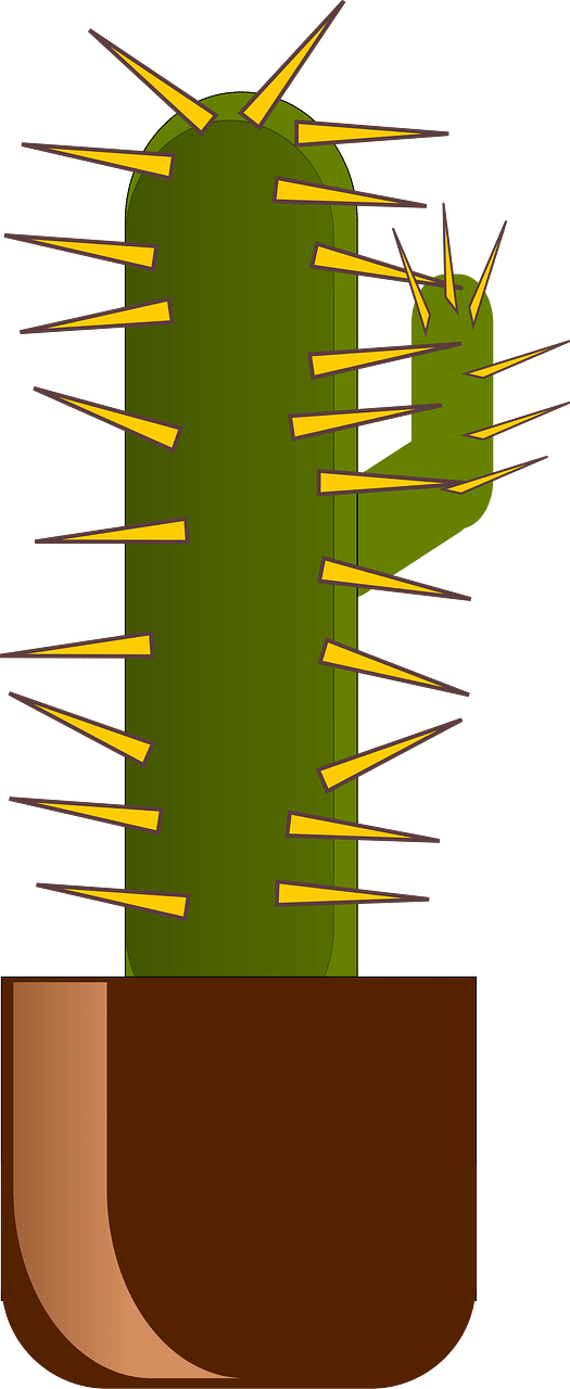 Кактус