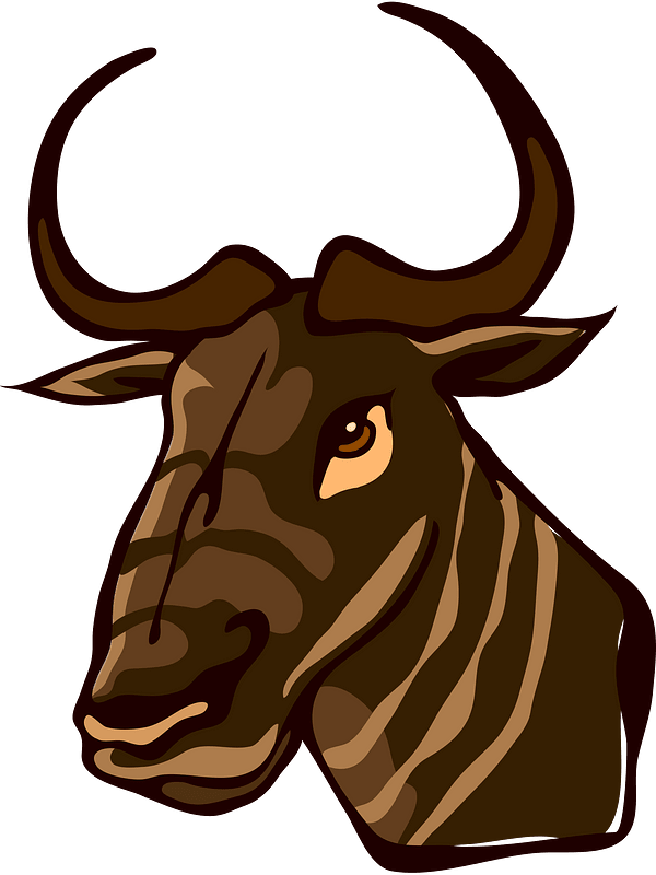 Wildebeest - Free vector clipart images on creazilla.com