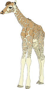 Giraffa