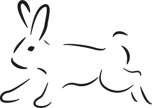 兔子